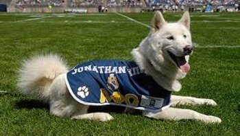 Jonathanuconn_display_image