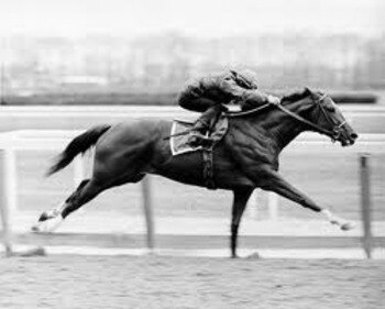 Secretariat_display_image