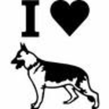 Ilovegermanshephards_display_image
