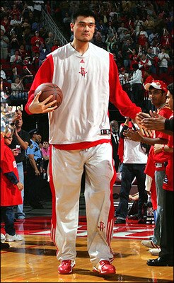 Yao-ming_display_image
