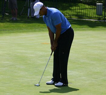 Tiger-putting_display_image