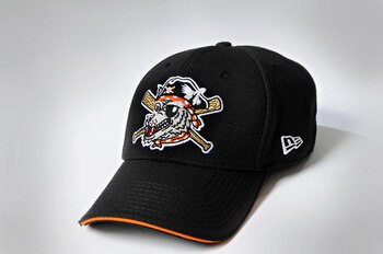 Erieseawolves_display_image