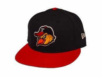 Toledomudhens_display_image