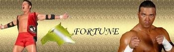 Fortune_display_image