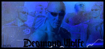 Wolfe_display_image