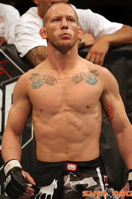 gray_maynard_display_image.jpg