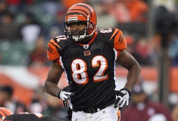 CINCINNATI - NOVEMBER 30:  Reggie Kelly #82 of the Cincinnati Bengals goes into motion prior to the snap of the ball during their NFL game against the Baltimore Ravens on November 30, 2008 at Paul Brown Stadium in Cincinnati, Ohio. The Ravens defeated the