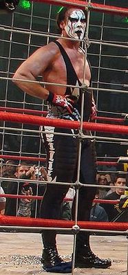 Sting_display_image