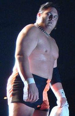 Samoajoe_display_image