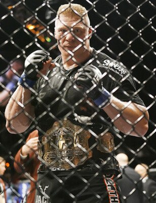 Brock-lesnar_display_image