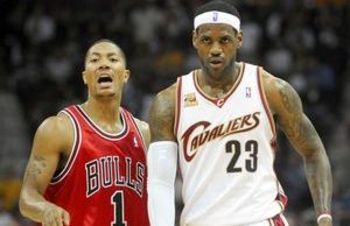 Rose_bron_11_display_image