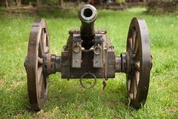 Canon_display_image