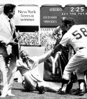 Rizzuto-cow2_n0797593_display_image