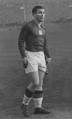 Puskas_display_image