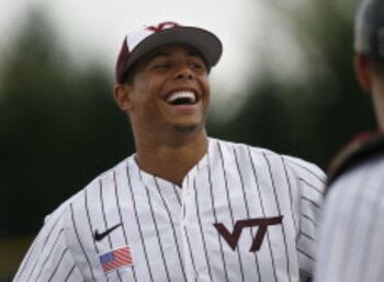 Bumbry_display_image
