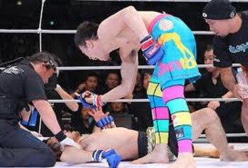 Aoki_display_image