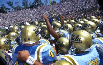 Bruins_display_image