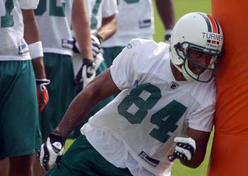 Dolphins-ota-s05280_505276e_display_image
