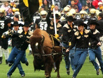 University-of-Colorado-Mens-Sports-Football-Ralphie-Leads-Team-CO-M-F-00016lg_display_image.jpg