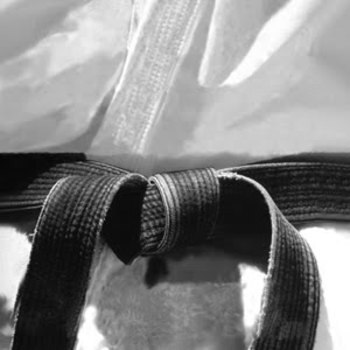 Black-belt-image_display_image