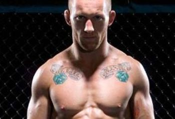 Gray_maynard_feature_display_image