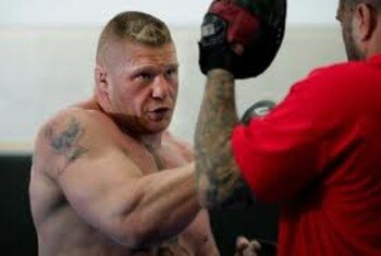 Lesnar_display_image