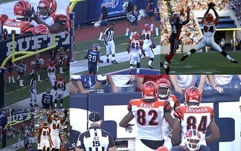 Cinci1_display_image