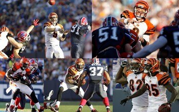 Cinci2_display_image