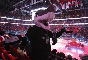 SJ Sharkie ponders the identity of the Sharks' next captain.