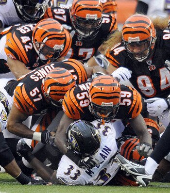 Bengals_d_display_image