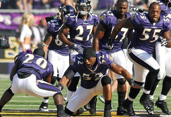 Ravens-d_display_image