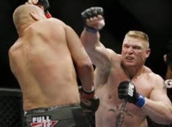 Brock_display_image