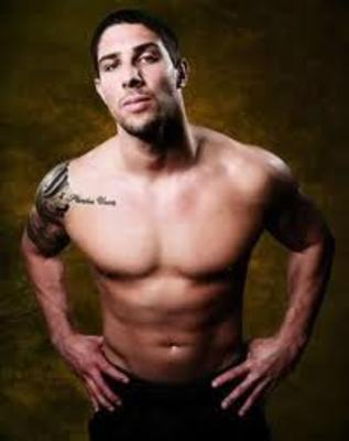 Schaub_display_image