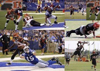 8johnnysears_display_image