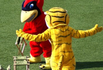 Mascot_fight_crop_340x234_display_image