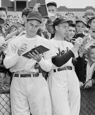 Dimaggio_display_image