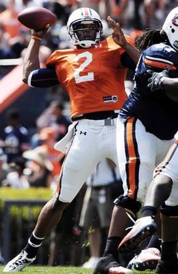 Cameronnewton2_display_image