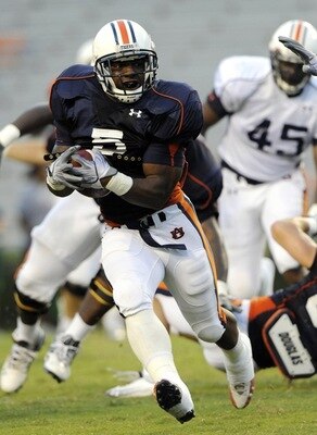 Michaeldyer3_display_image