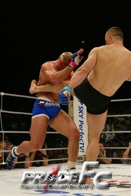 http://cdn.bleacherreport.net/images_root/slides/photos/000/403/854/herringvs.crocop_display_image.jpg?1285004887