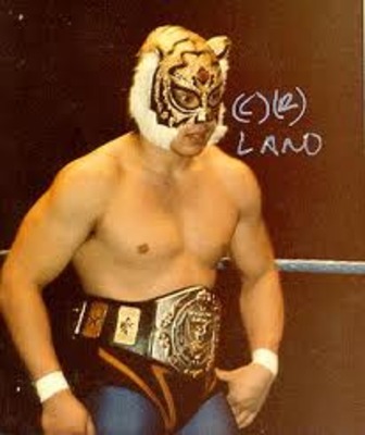 tiger wrestler