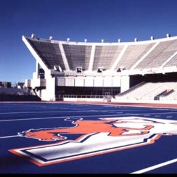 Boise_state_stadium_field_closeup_display_image
