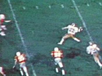 Flutie_display_image