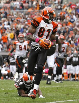 CLEVELAND - OCTOBER 03:  Wide receiver Terrell Owens #81 of the Cincinnati Bengals runs by Sheldon Brown #24 of the Cleveland Browns at Cleveland Browns Stadium on October 3, 2010 in Cleveland, Ohio.  (Photo by Matt Sullivan/Getty Images)