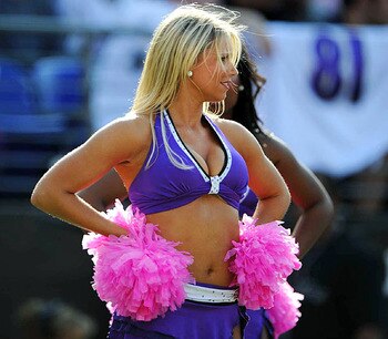 Ravens_display_image