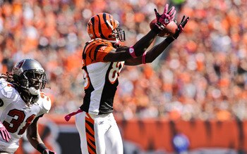 CINCINNATI, OH - OCTOBER 10: Chad Ochocinco #85 of the Cincinnati Bengals makes a reception against the Tampa Bay Buccaneers at Paul Brown Stadium on October 10, 2010 in Cincinnati, Ohio. (Photo by Jamie Sabau/Getty Images)
