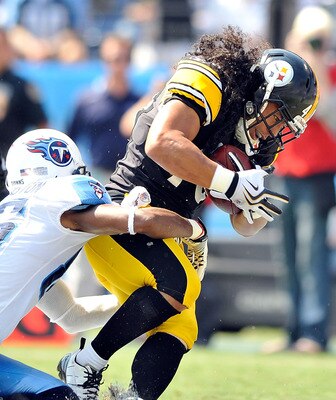 Troy Polamalu