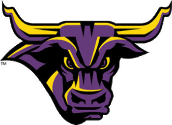 Msu_display_image