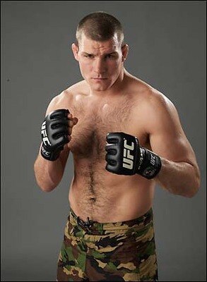 Bisping_display_image