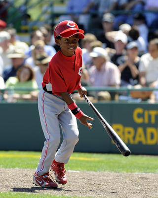 mlb bat boy