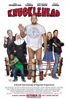 Idiot Poster